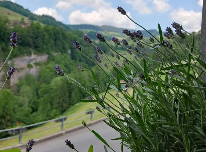 Lejlighed Urgemuetliche Ferienwohnung, Zentral Und Doch Ruhig