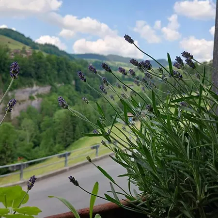 Apartamento Urgemuetliche Ferienwohnung, Zentral Und Doch Ruhig